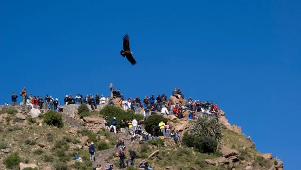 2 day colca canyon