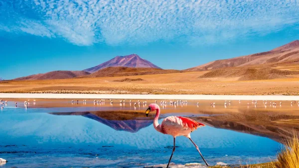 Extension Puno La Paz Uyuni La Paz 5 Días