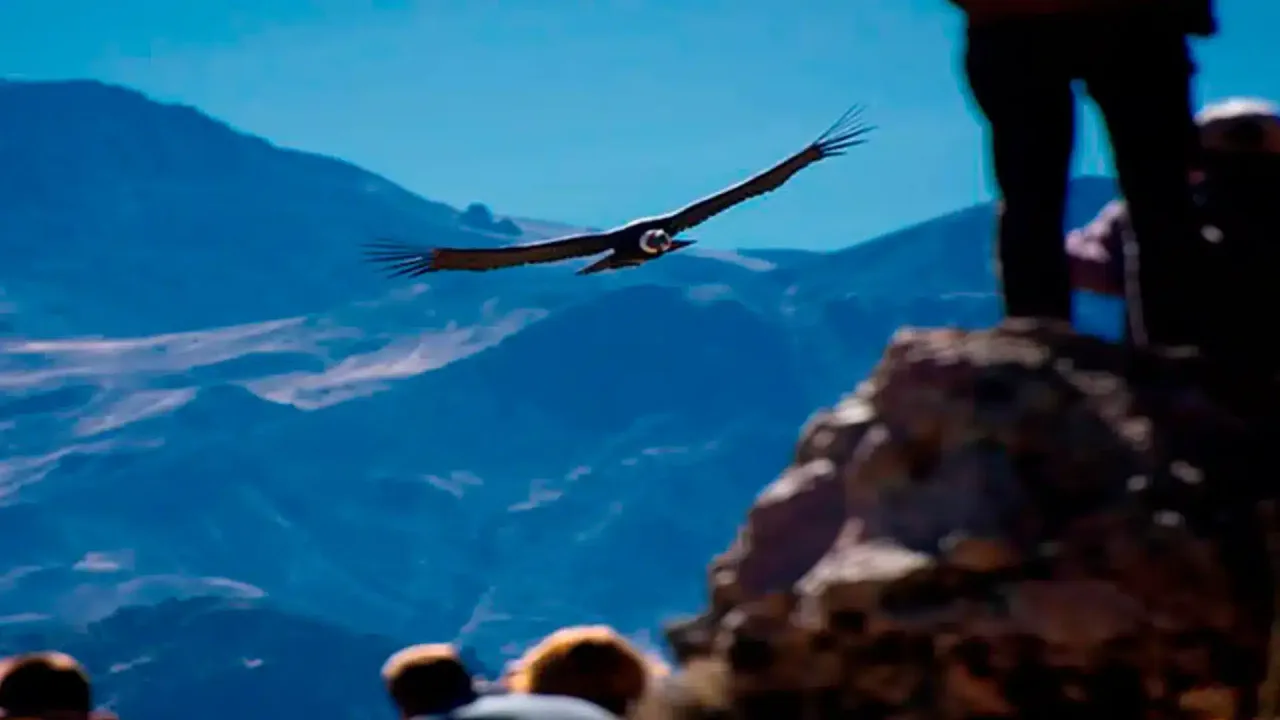 MIRADOR DE CHONTA CUSCO: EL VUELO DE LOS CÓNDORES